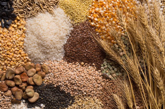 Whole Grains & Cereals